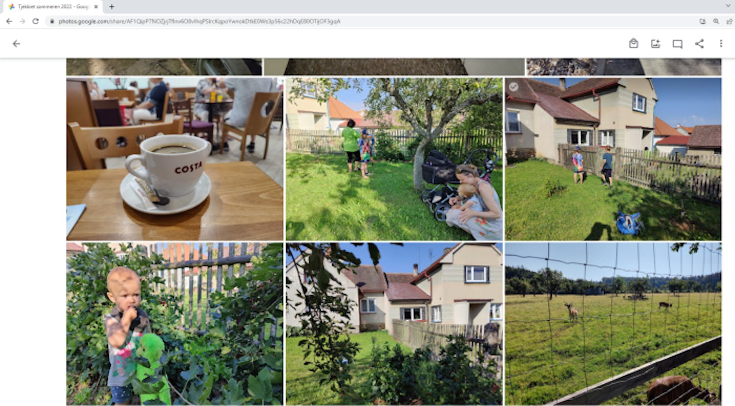 Delt mappe i Google Foto.